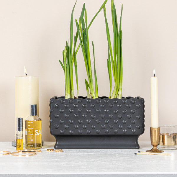 Black Ceramic Hobnail Planter with Scalloped Edge & Polka Dots